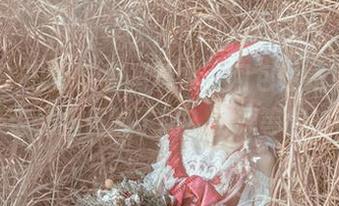 明日方舟W-芭蕾写真集：阿包也是兔娘，今天你又扭伤脚了吗？资源等你来踩！